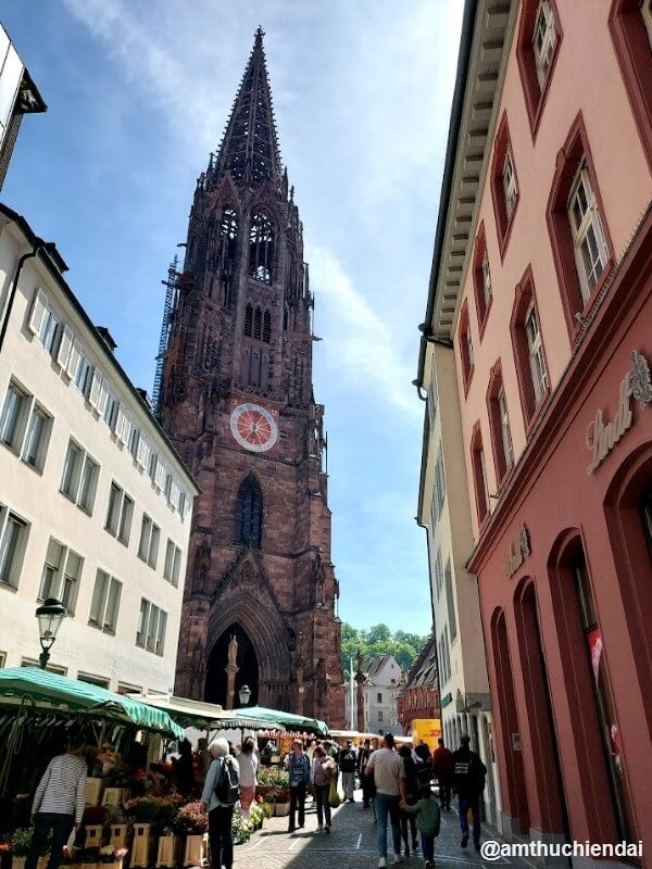Thánh đường Freiburg sừng sững với đỉnh chóp nhọn