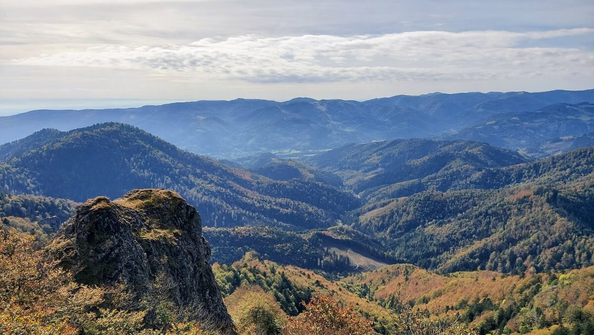 6 Reasons to Visit Vosges When Coming to Alsace and How to Do It Ẩm