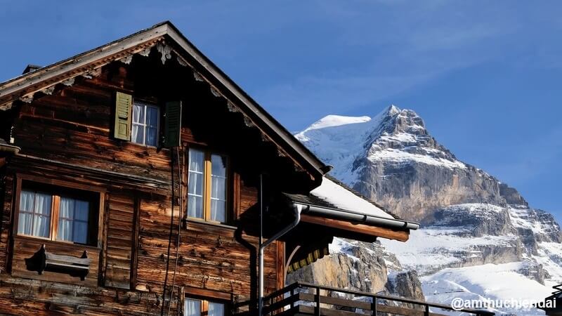 Swiss Chalet in Mürren