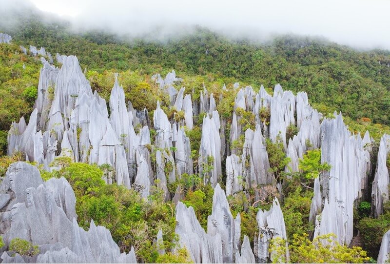 Công viên quốc gia Gunung Mulu - một di sản UNESCO khác tại Borneo Malaysia