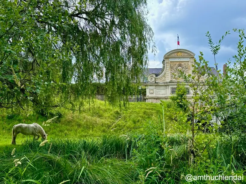 Pháo đài Citadelle